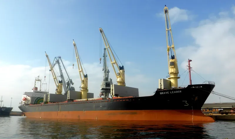 BRAVE LEADER Bulk Carrier IMO 9033505 photo 6