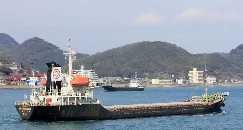 WOOYANG CLOVER General Cargo IMO 9033830 photo 5