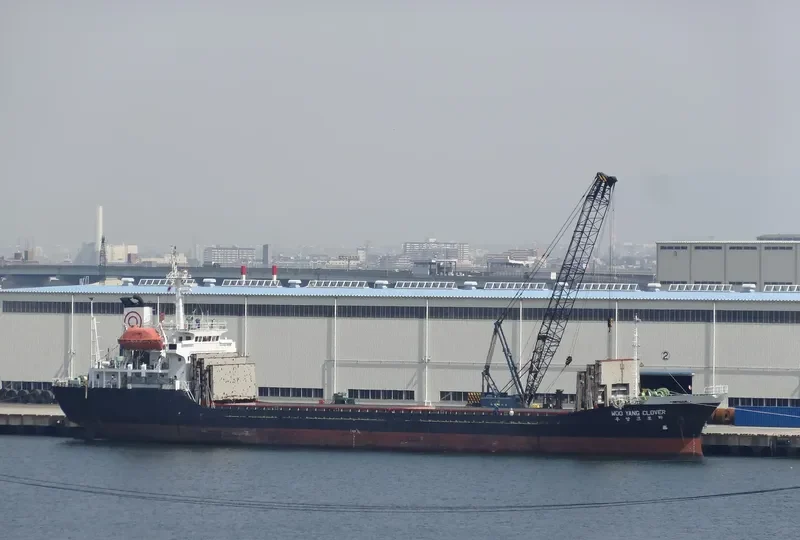 WOOYANG CLOVER General Cargo IMO 9033830 photo 8