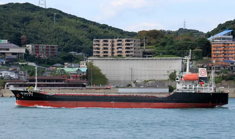 WOOYANG CLOVER General Cargo IMO 9033830 photo 10
