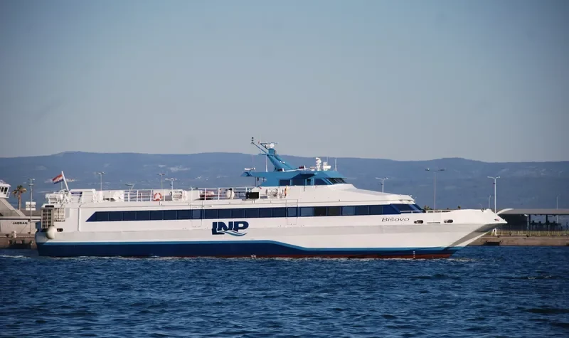 BISOVO Passenger Ship IMO 9034195 photo 2