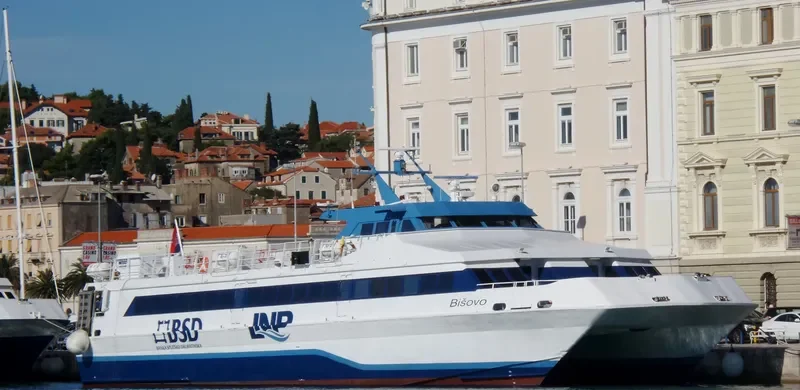 BISOVO Passenger Ship IMO 9034195 photo 5