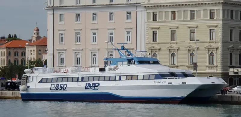 BISOVO Passenger Ship IMO 9034195 photo 9
