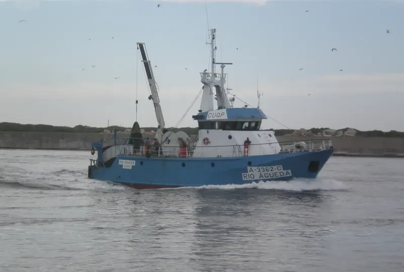 RIO AGUEDA General Cargo IMO 9034262