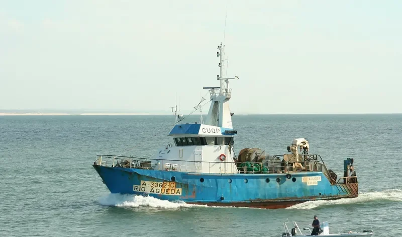 RIO AGUEDA General Cargo IMO 9034262 photo 2