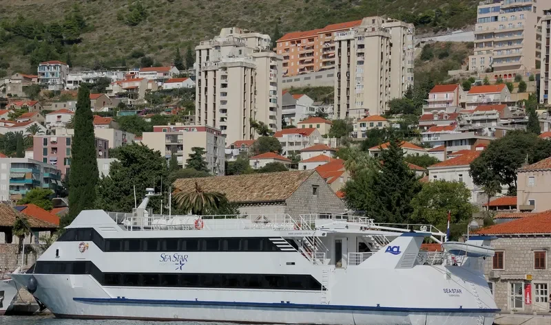 SEA STAR Passenger Ship IMO 9034286 photo 3