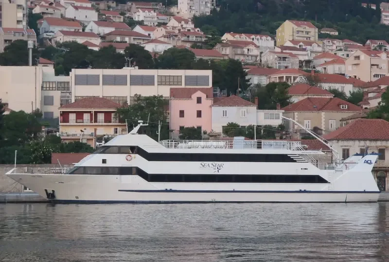 SEA STAR Passenger Ship IMO 9034286 photo 5