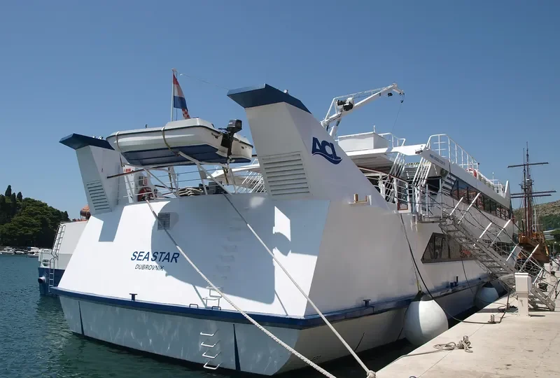SEA STAR Passenger Ship IMO 9034286 photo 9