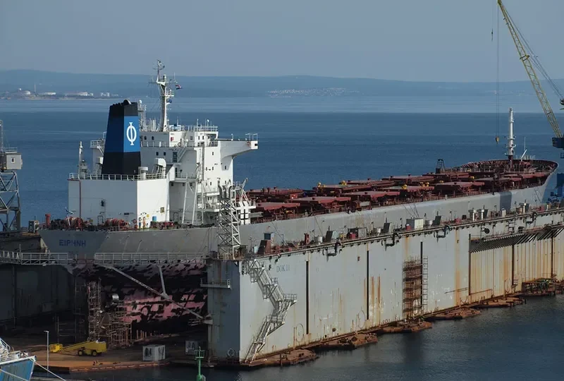 GLOBAL TRADER 1 Bulk Carrier IMO 9034327 photo 4
