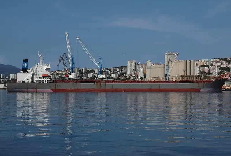 GLOBAL TRADER 1 Bulk Carrier IMO 9034327 photo 9
