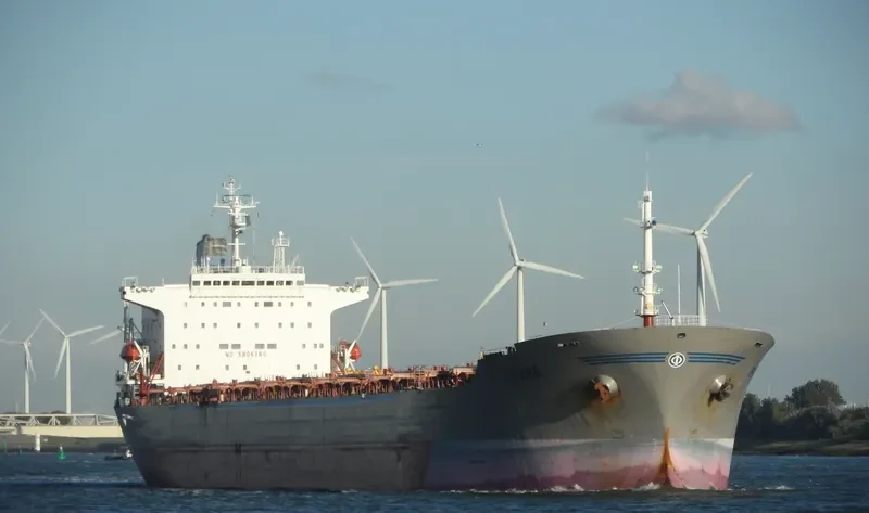 GLOBAL TRADER 1 Bulk Carrier IMO 9034327 photo 10