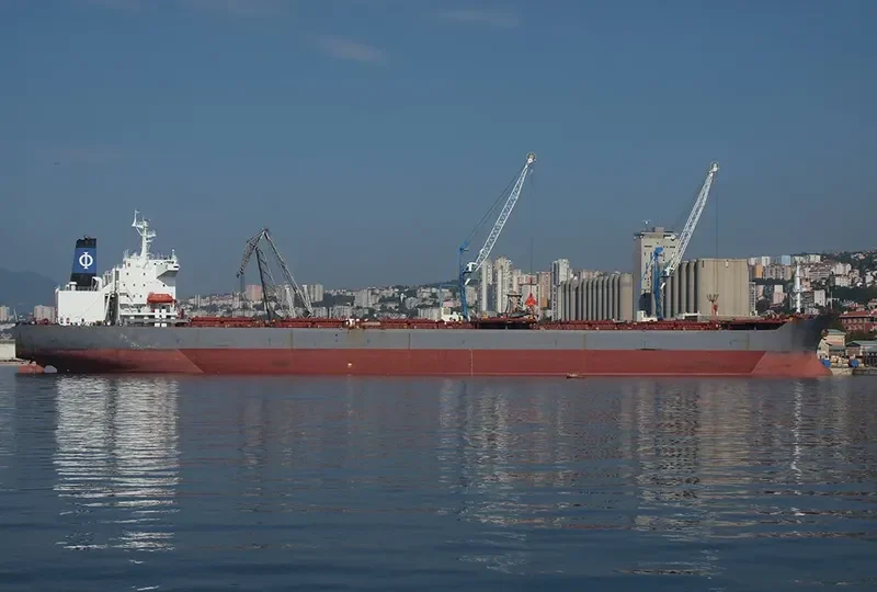 DESPINA Bulk Carrier IMO 9034339 photo 6