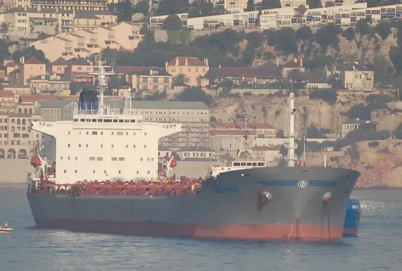 DESPINA Bulk Carrier IMO 9034339 photo 7