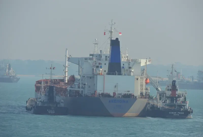 DESPINA Bulk Carrier IMO 9034339 photo 10