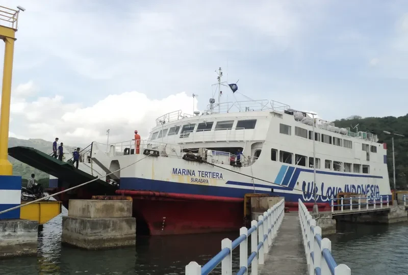 MARINA TERTIERA Ro-Ro IMO 9034664