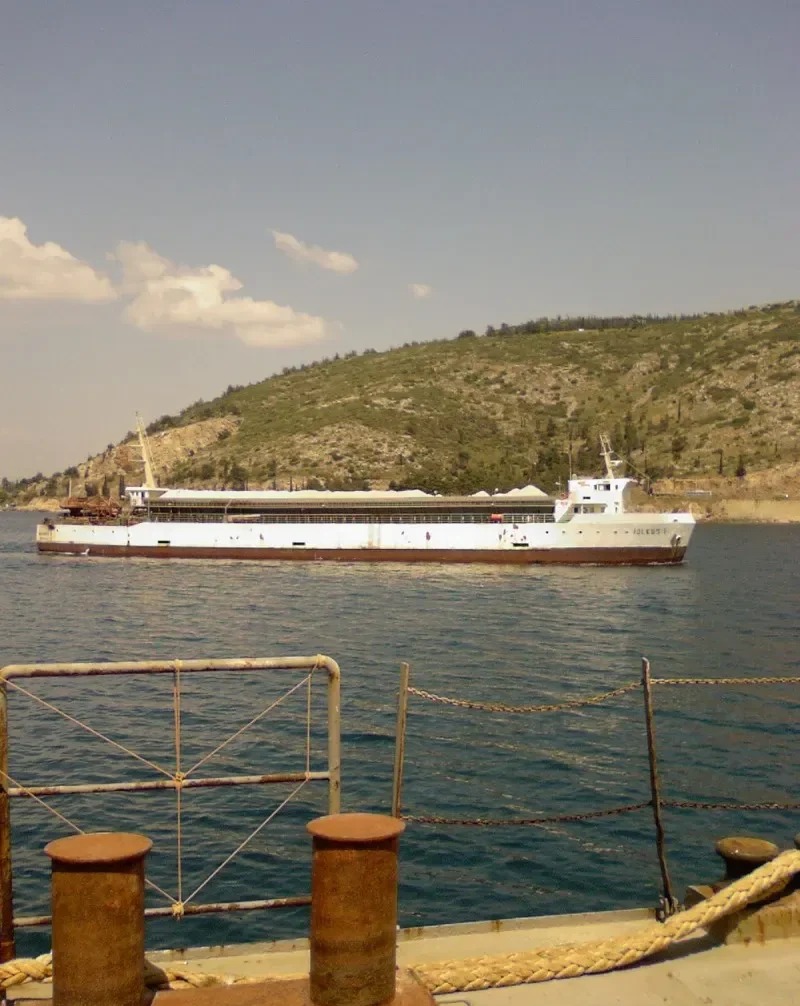 ALMIROS Bulk Carrier IMO 9034896 photo 9