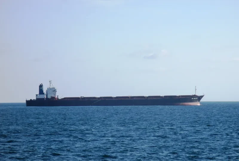 RIO BALSAS Bulk Carrier IMO 9034925