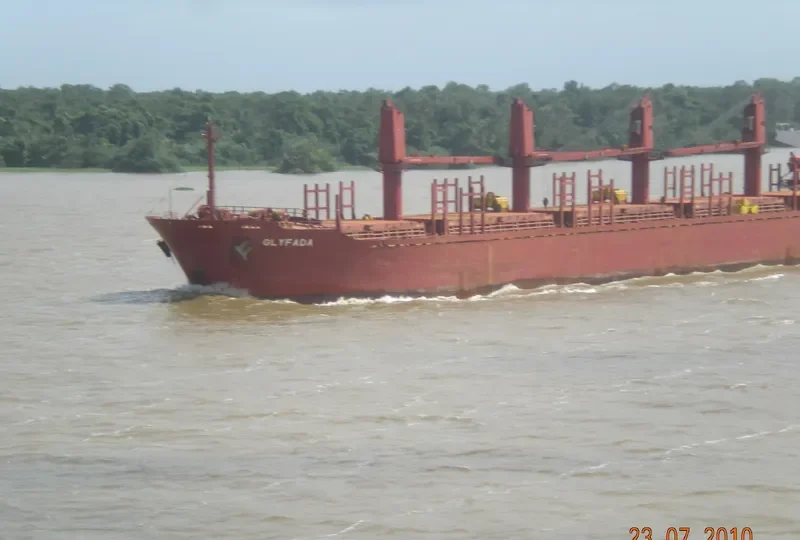 RIO BALSAS Bulk Carrier IMO 9034925 photo 8