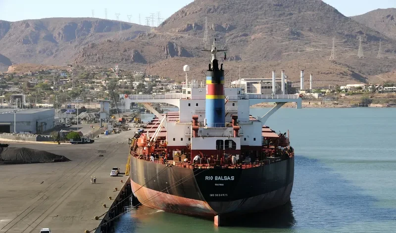 RIO BALSAS Bulk Carrier IMO 9034925 photo 10