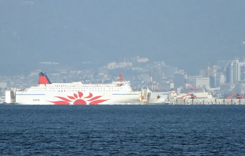 DHARMA FERRY VII Ro-Ro IMO 9035113 photo 6