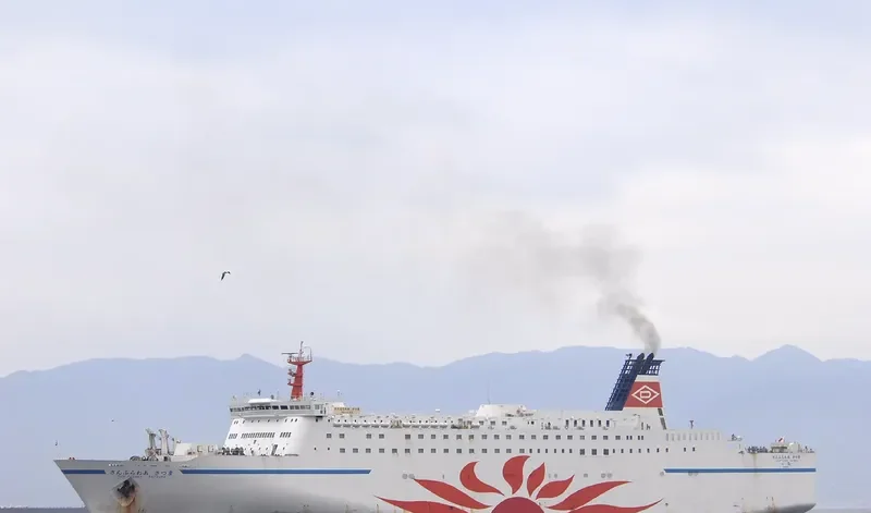 DHARMA FERRY VII Ro-Ro IMO 9035113 photo 7