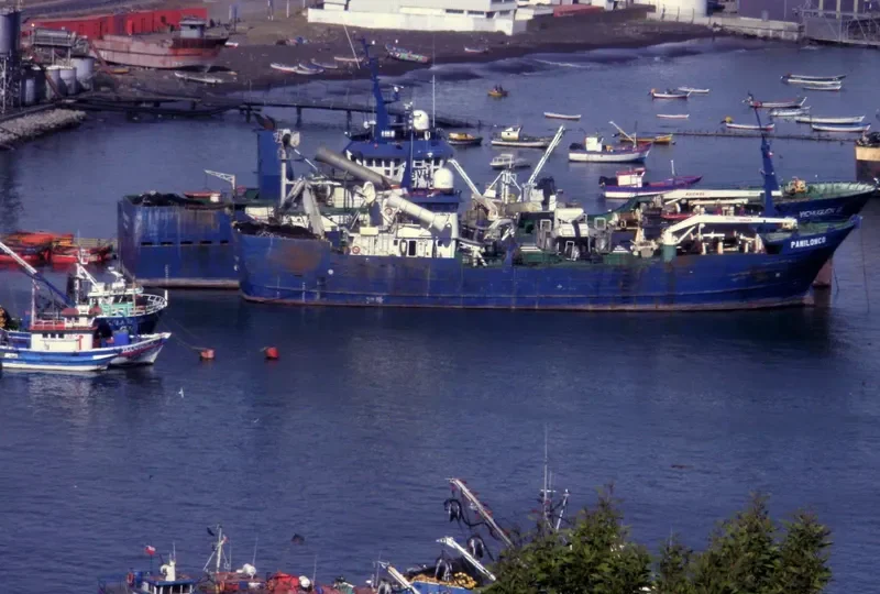 PANILONCO General Cargo IMO 9035228