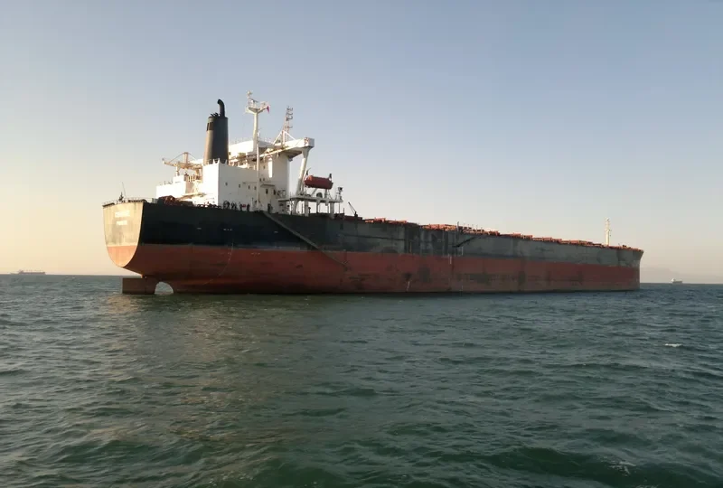 PSU THIRD Bulk Carrier IMO 9035230 photo 3
