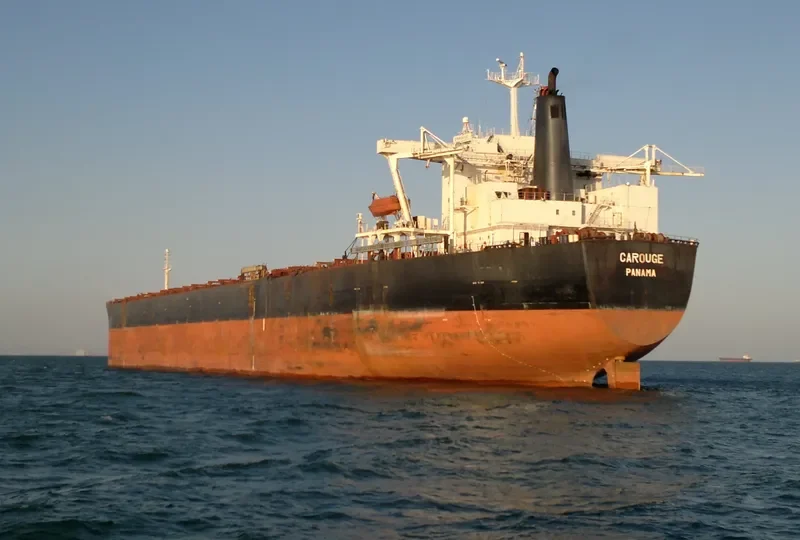PSU THIRD Bulk Carrier IMO 9035230 photo 5
