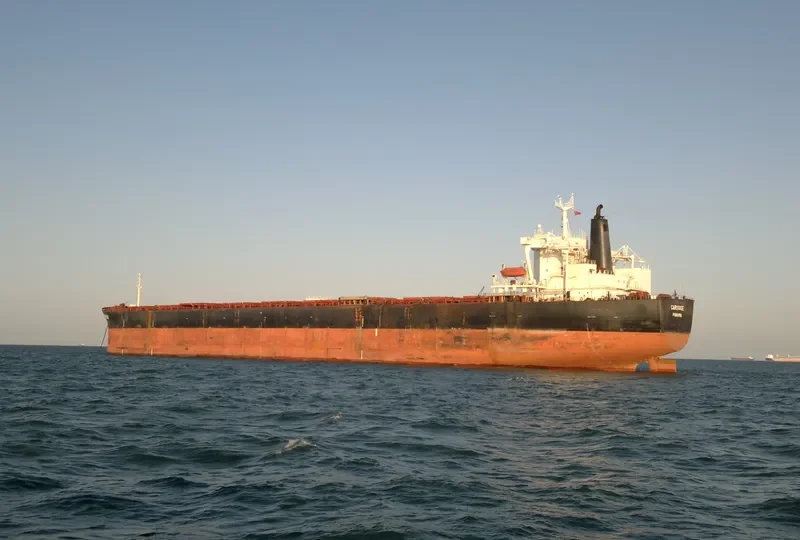 PSU THIRD Bulk Carrier IMO 9035230 photo 6