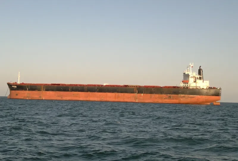 PSU THIRD Bulk Carrier IMO 9035230 photo 7