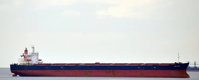 BORYEONG Bulk Carrier IMO 9035412 photo 2