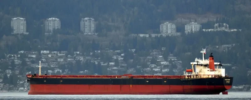 BORYEONG Bulk Carrier IMO 9035412 photo 3