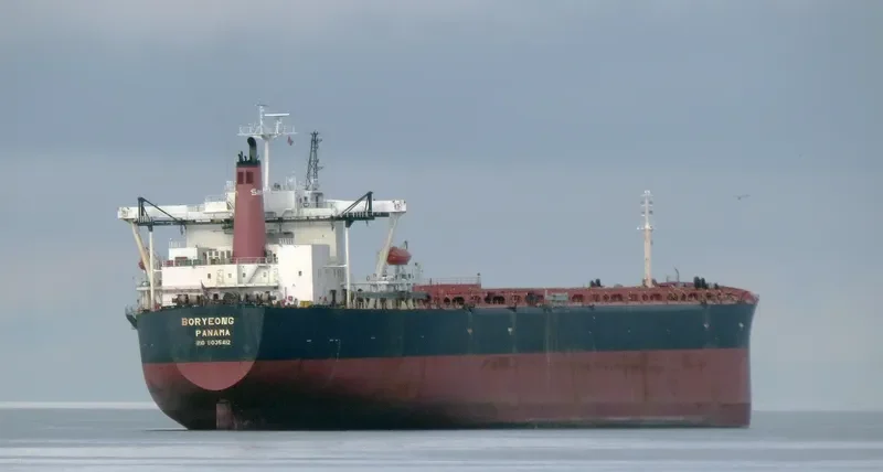 BORYEONG Bulk Carrier IMO 9035412 photo 4
