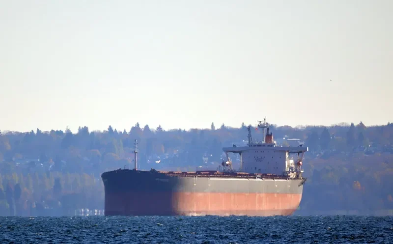 BORYEONG Bulk Carrier IMO 9035412 photo 7