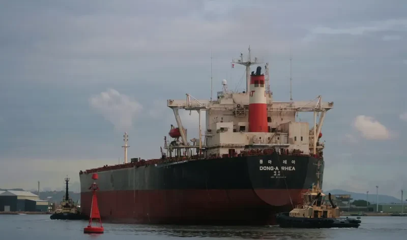 DONG A RHEA Bulk Carrier IMO 9035424 photo 3