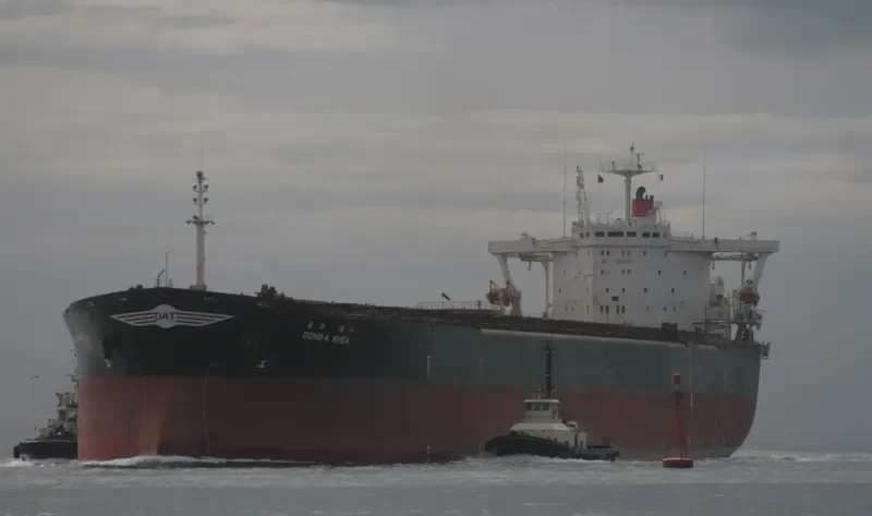 DONG A RHEA Bulk Carrier IMO 9035424 photo 4