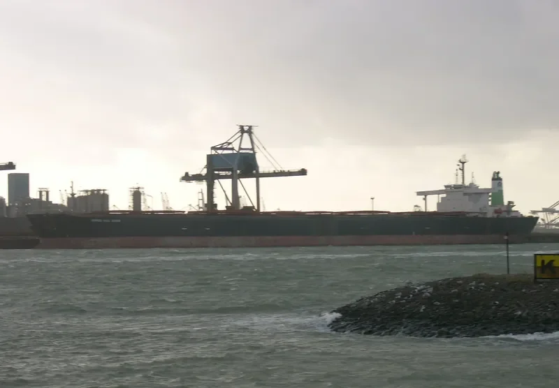 BERGE HUA SHAN Bulk Carrier IMO 9035450 photo 3