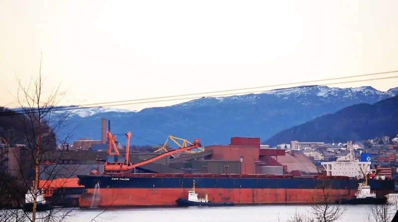 CAPE FALCON Bulk Carrier IMO 9035591