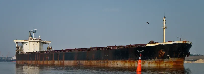 MARY Bulk Carrier IMO 9035773 photo 2