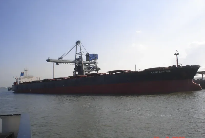 KESTREL I Bulk Carrier IMO 9036014 photo 2