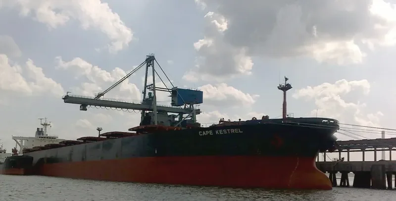 KESTREL I Bulk Carrier IMO 9036014 photo 3