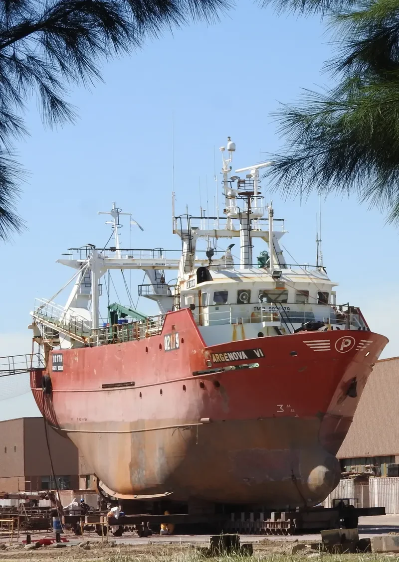 ARGENOVA VI General Cargo IMO 9036179 photo 7