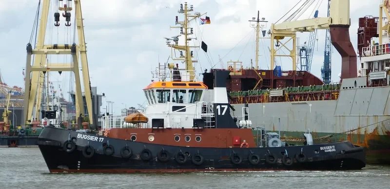 BUGSIER 17 General Cargo IMO 9036234 photo 6
