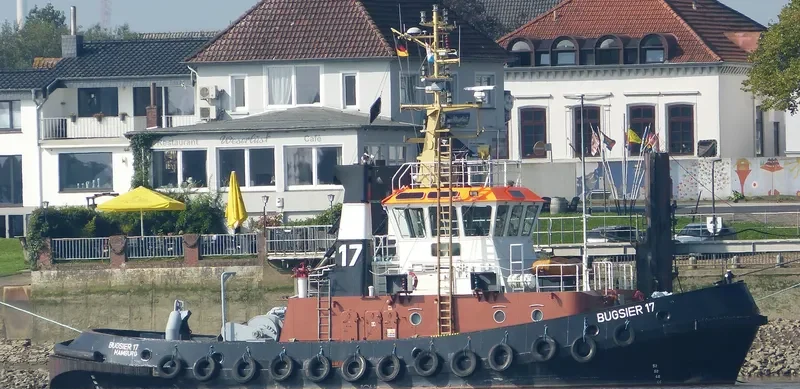 BUGSIER 17 General Cargo IMO 9036234 photo 7
