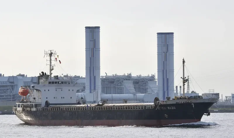 HEIWA MARU General Cargo IMO 9036349