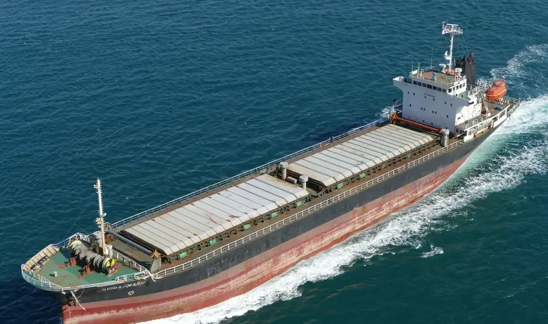 HEIWA MARU General Cargo IMO 9036349 photo 2