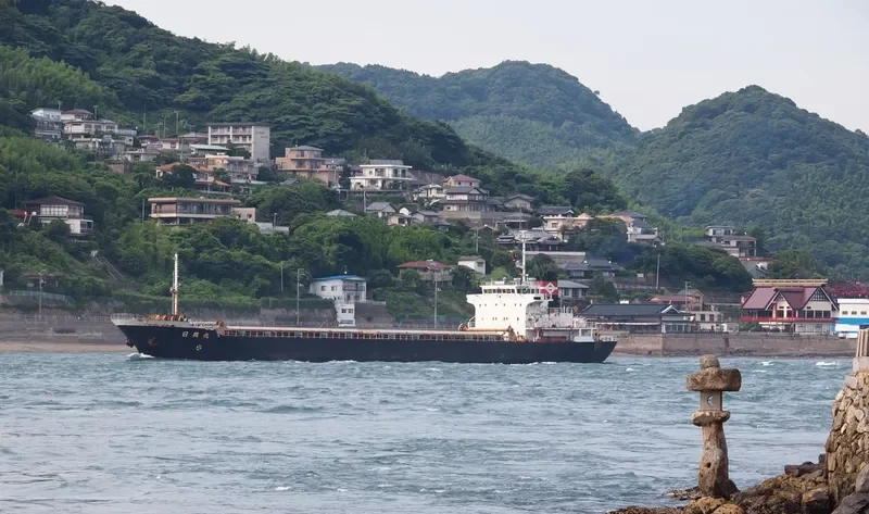 HEIWA MARU General Cargo IMO 9036349 photo 5