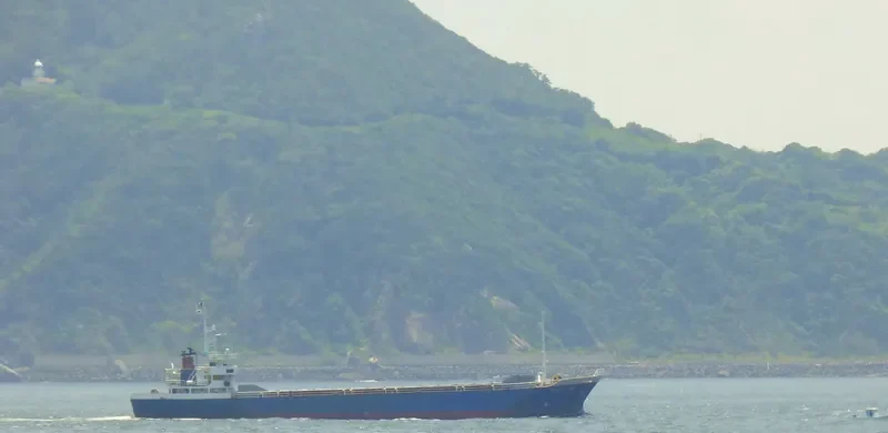 TATSU MARU NO.61 General Cargo IMO 9036399