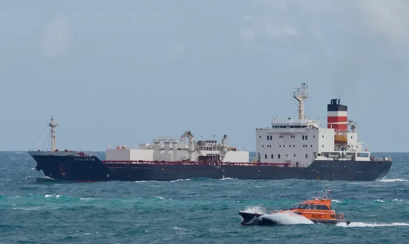 GOLIATH General Cargo IMO 9036430 photo 2