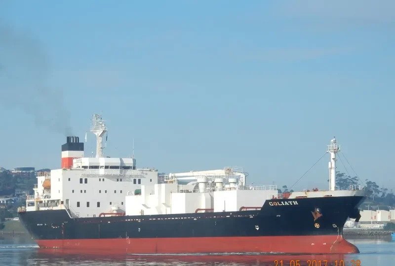 GOLIATH General Cargo IMO 9036430 photo 3